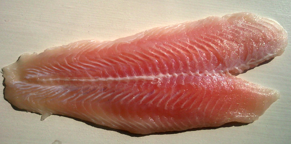 Basa fillet